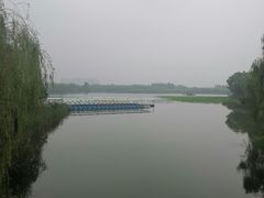 -大兴滨河森林公园