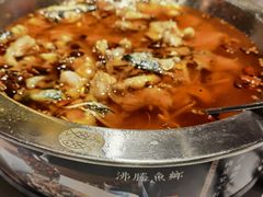 沸腾水煮鱼-新沸腾鱼乡(世贸天阶店)