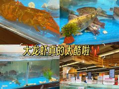 -华润万家(凯德广场店)