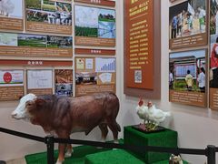 -中国农业博物馆