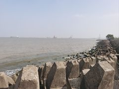 -上海滨江森林公园