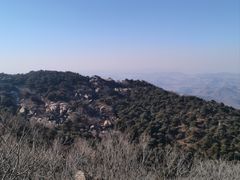 -鲁山国家森林公园