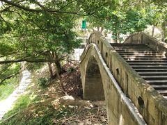 -广州市流溪河国家森林公园