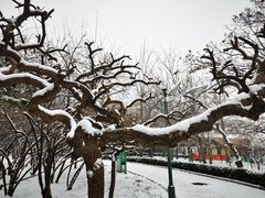 -方庄体育公园