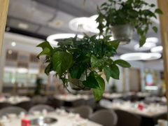 -芭夯兔·兔肉汤锅(新都店)