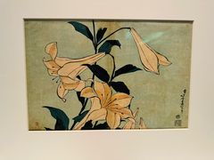 -东京国立博物馆