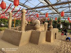 -南宫五洲植物乐园