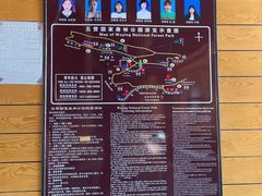 -五营国家森林公园