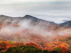 -沂蒙山旅游区龟蒙景区