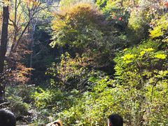 -香炉山国家森林公园