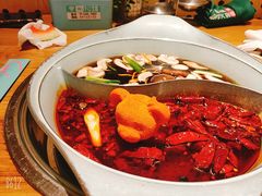 -青瓷火锅料理(西单大悦城店)