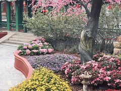 -珠海圆明新园