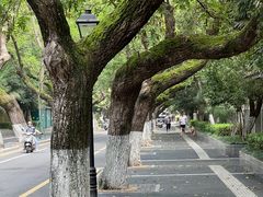 -颐和路民国时期公馆风貌区