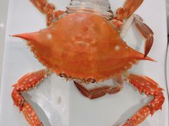 -宾朋海鲜特色美食餐厅·纯手工鲅鱼水饺(兴海路店)