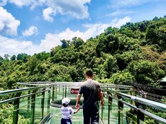 -海南槟榔谷黎苗文化旅游区