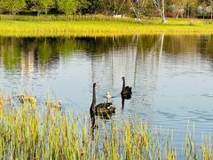 -昆山城市生态森林公园
