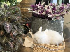 -弗劳尔花艺坊(龙涛店)