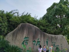 -荷塘月色湿地公园·向阳花洲