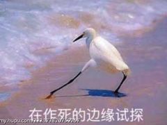-好乐迪(张扬路八佰伴店)