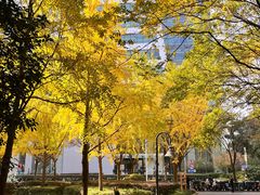 -上海不夜城广场(上海不夜城金融大厦店)