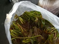 -土家美食园