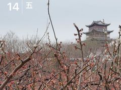 -南京市无想山景区
