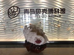 -青岛贝壳博物馆