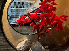 -红辣椒·川菜·火锅(张杨路店)