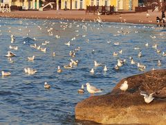 -老虎石海上公园