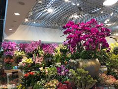 -双季花艺园艺市场(浦东店)