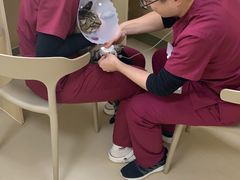 -美联众合动物医院·24h京西诊疗中心