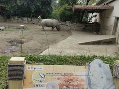 -成都动物园