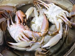 -鑫福隆生鲜超市(沈营大街店)