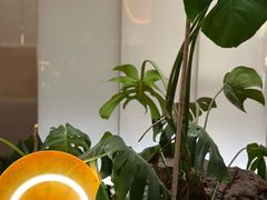 -ROIIN用心(武汉首店)