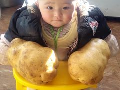 景观位-拉卜楞明月小笼包子总店