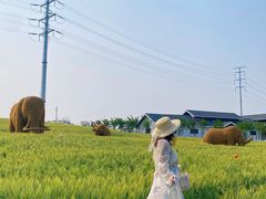 -杭州湾海上花田景区