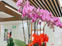 -茂菊口腔连锁(浦东南路店)