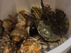 海螺-川骄海鲜自助(河东店)