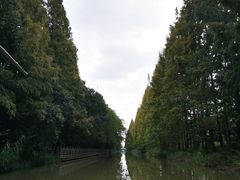 -上海长兴岛郊野公园