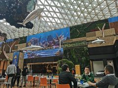 -视博茶点(美狮美高梅店)