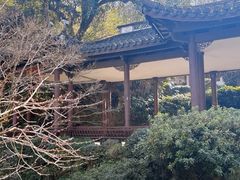 -杭州黄龙洞