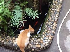 -吴祥记潮州菜·百年老字号·砂锅粥