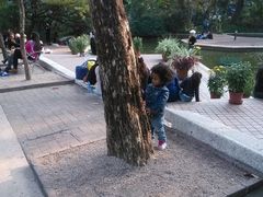 -九龙公园