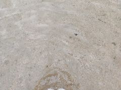 -淇河金沙滩