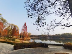 -北坞公园
