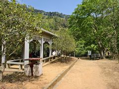 -羚羊峡古栈道森林公园