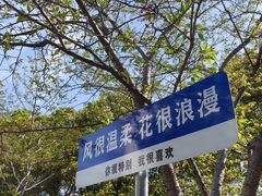 -高东镇樱花园