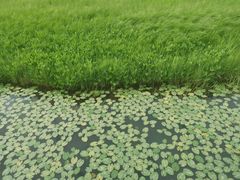 -御道口草原森林风景区