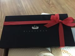 -BLACKSWAN黑天鹅(环球店)