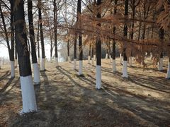 -白马涧龙池景区
